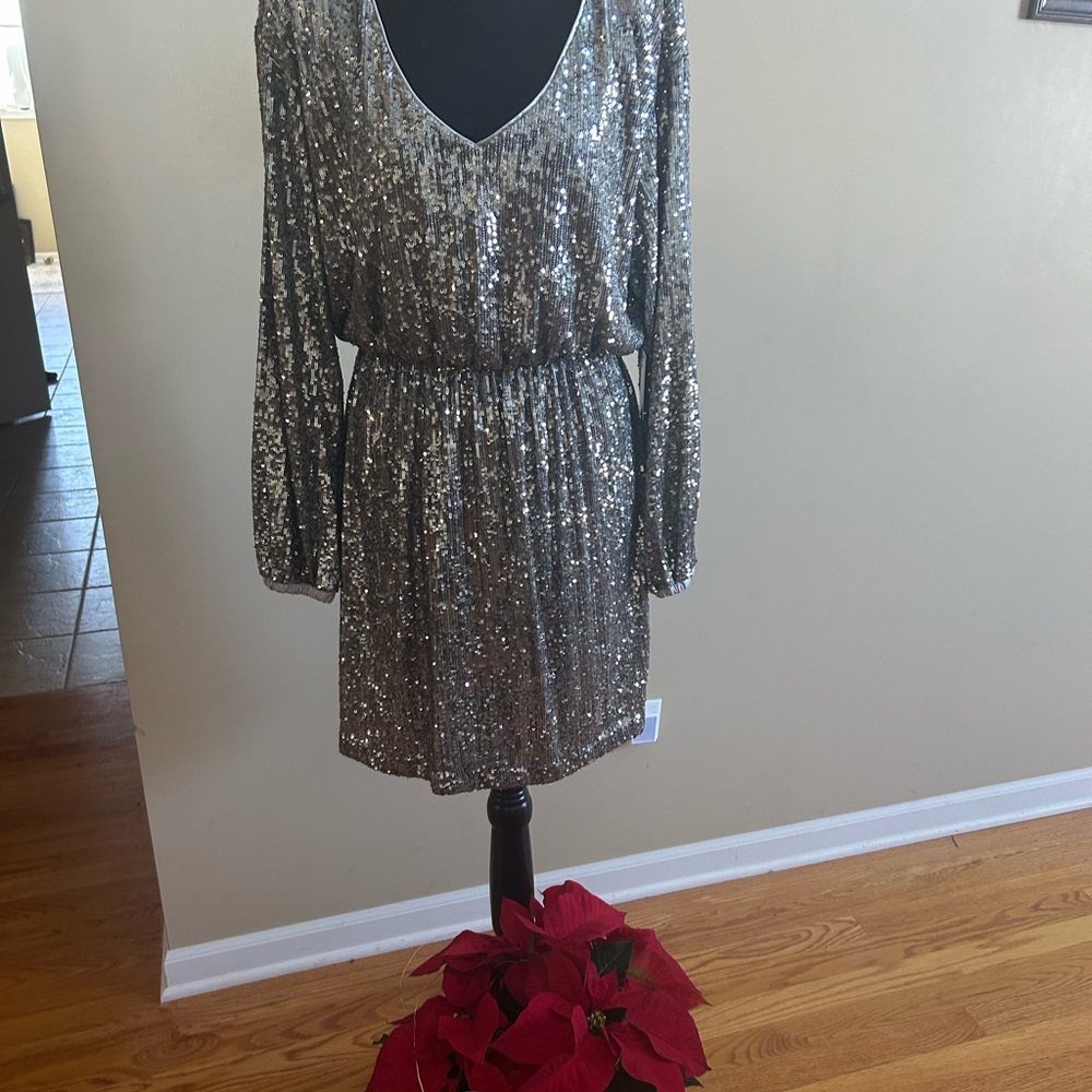 Express Metallic Long Sleeve Dress